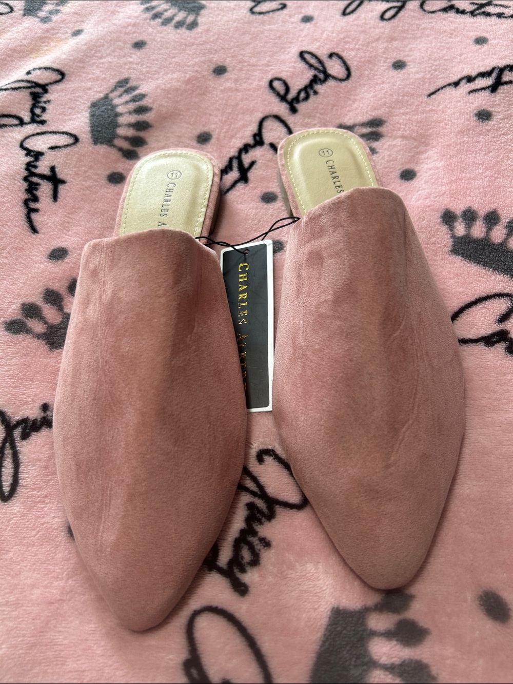 Charles Albert Blush Suede Pointed-Toe Mules